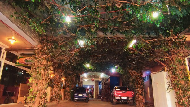 A covered driveway with cars parked on either side, surrounded by lush greenery and decorative lights.