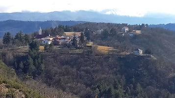 Imagen general