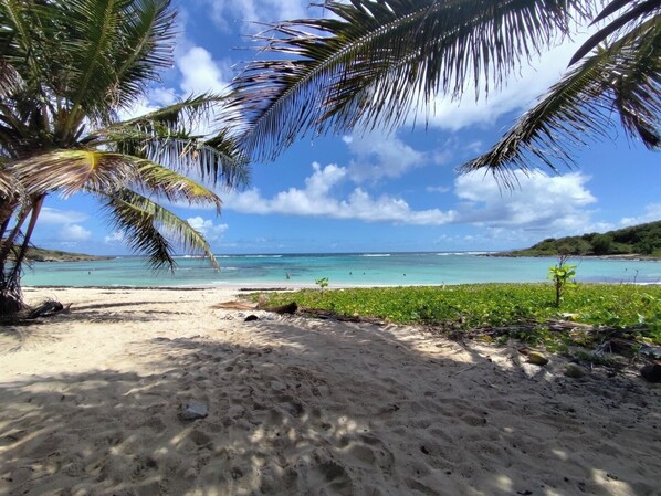 Sun-loungers - Villa Créole Pleine de Charme à 100 Mètres de la mer des Caraïbes (Saint-François)