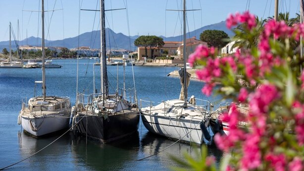 Un port de plaisance où sont amarrés plusieurs voiliers, avec une eau calme et un paysage montagneux en arrière-plan.