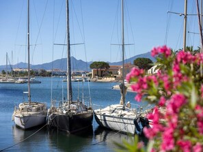 Ein Yachthafen mit mehreren Segelbooten, ruhigem Wasser und einer gebirgigen Kulisse.