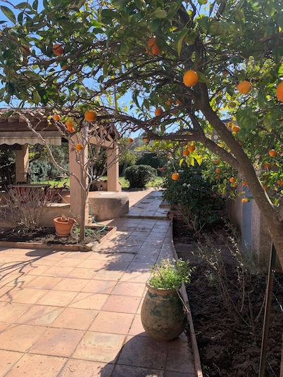 Maison de Caractère Plein Centre de st Tropez