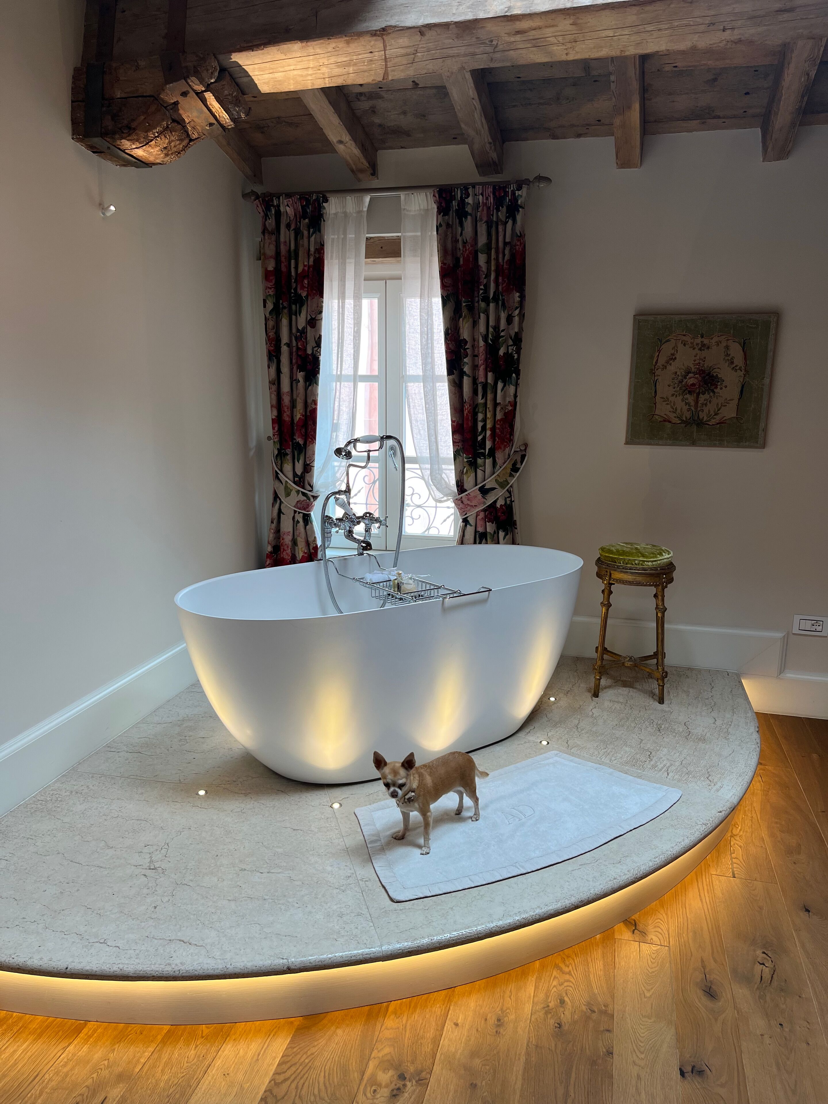 A modern bathroom with a large bathtub, wooden flooring, and a small dog standing on a rug.