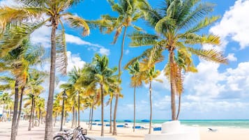 Apartment | 1 bedroom