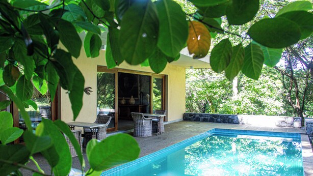 Une piscine extérieure avec un espace patio, entourée de verdure.