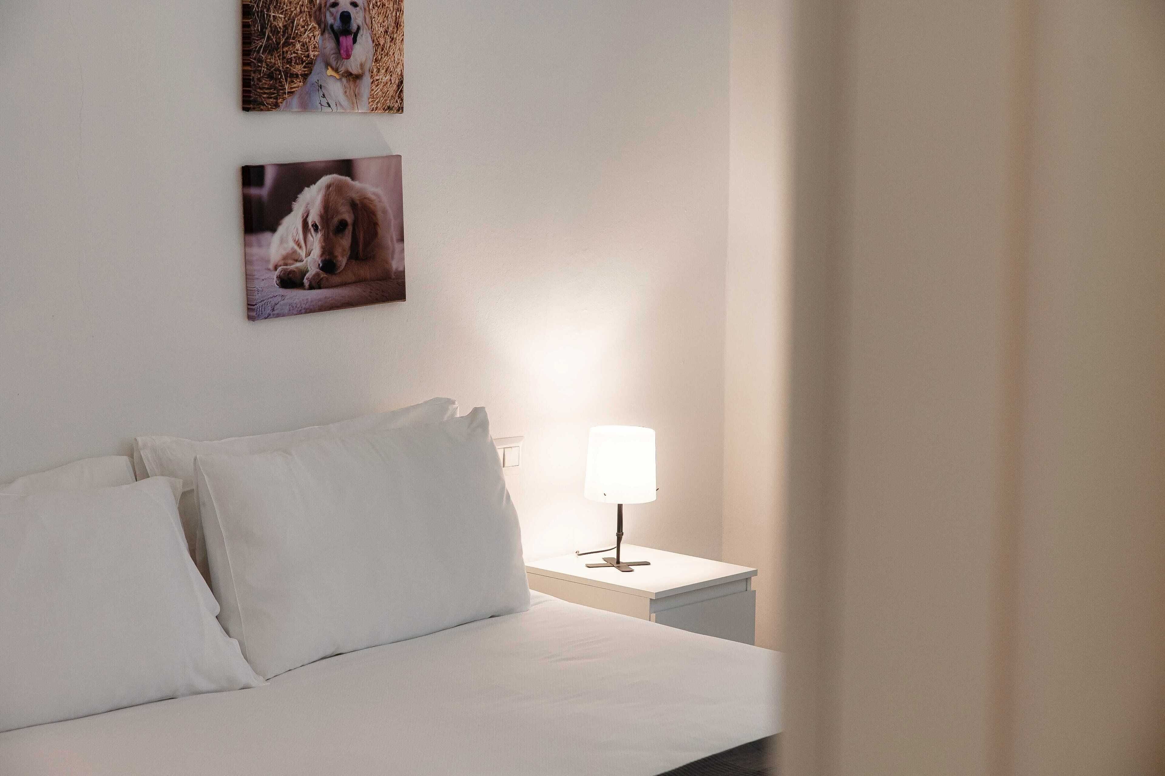 A neatly made bed with white linens, a bedside lamp, and two framed pictures of dogs on the wall.