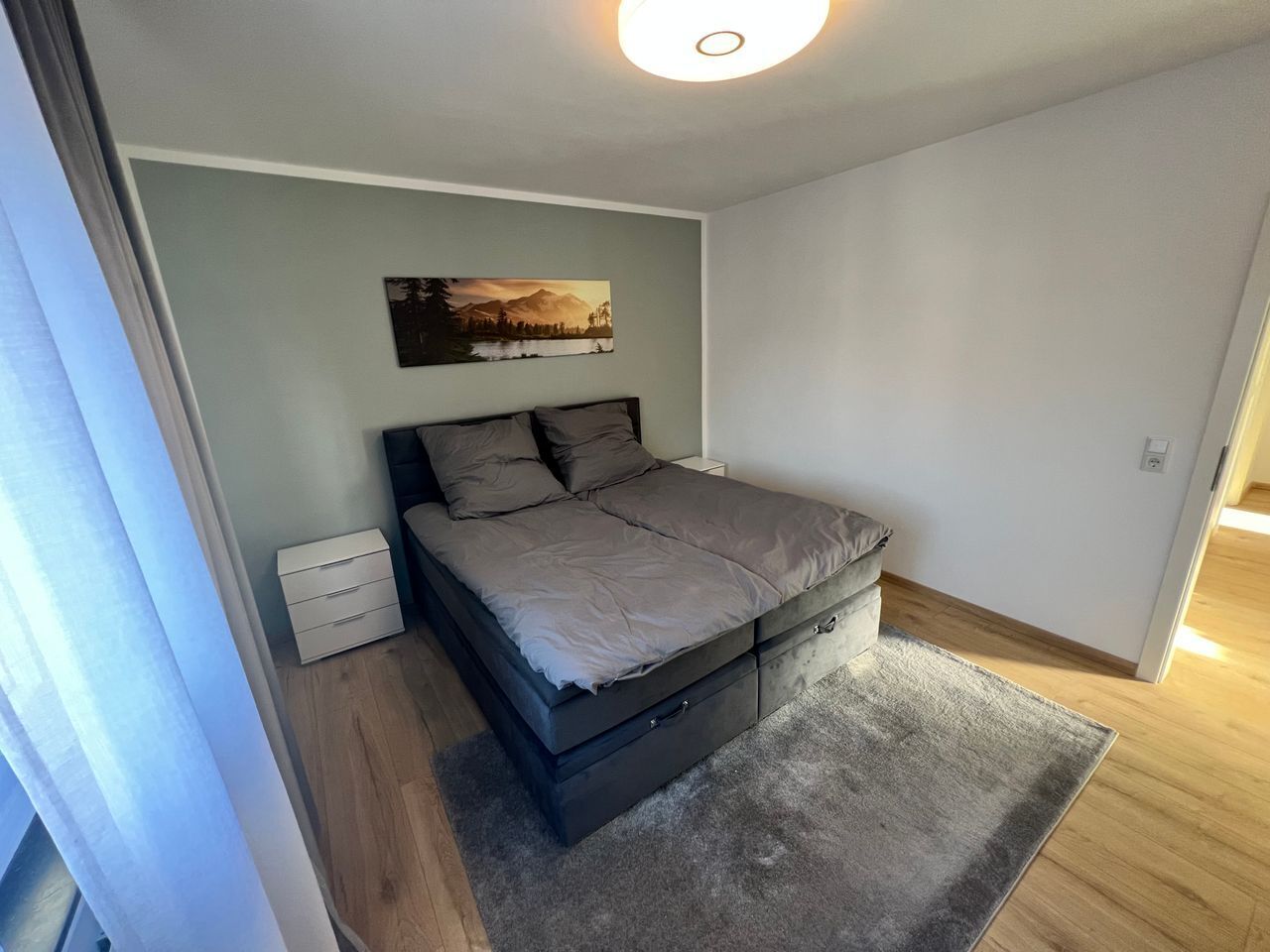 A bedroom with a bed, a nightstand, a drawer unit, a gray rug, and a wall-mounted picture.