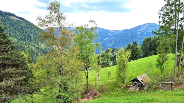 Un paisaje rural con una pequeña estructura de madera, probablemente una cabaña, rodeada de exuberantes campos verdes y árboles.
