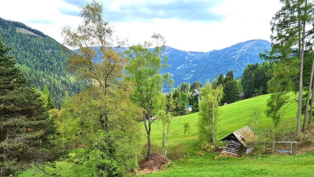 A rural landscape with a small wooden structure, likely a cabin, surrounded by lush green fields and trees. - Der Kristall Top 3 by Globalimmoservice (Bad Kleinkirchheim)