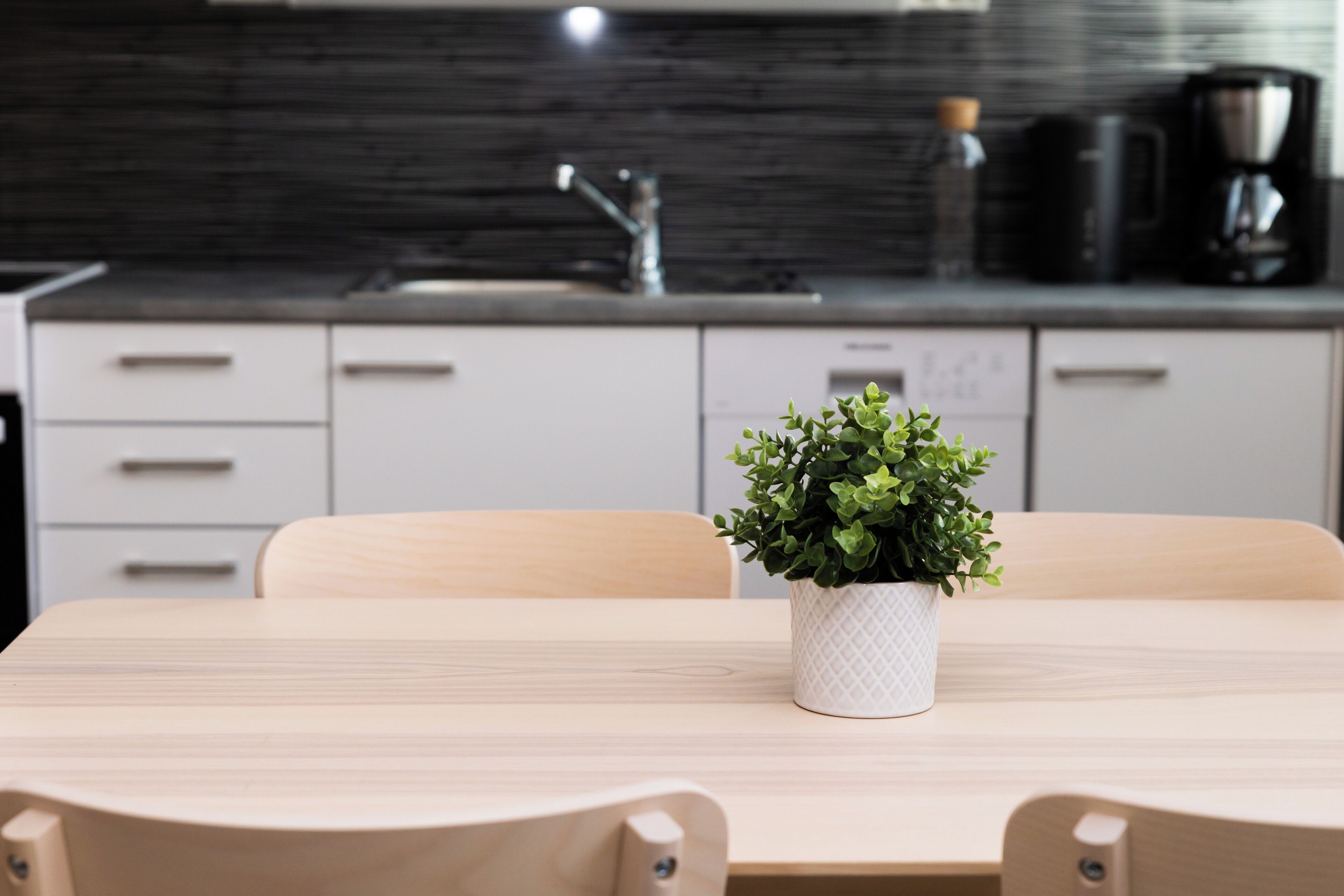 Appartement Standard | Cuisine privée | Réfrigérateur, micro-ondes, four, plaque de cuisson