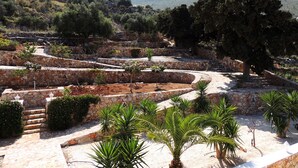 A stone pathway leading up a terraced hillside with a view of a mountain in the distance.
