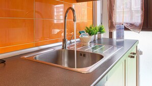 A kitchen with a stainless steel sink, a faucet, and a potted plant on the counter. - Madamart - 301 Autodromof1 Centro (Monza)