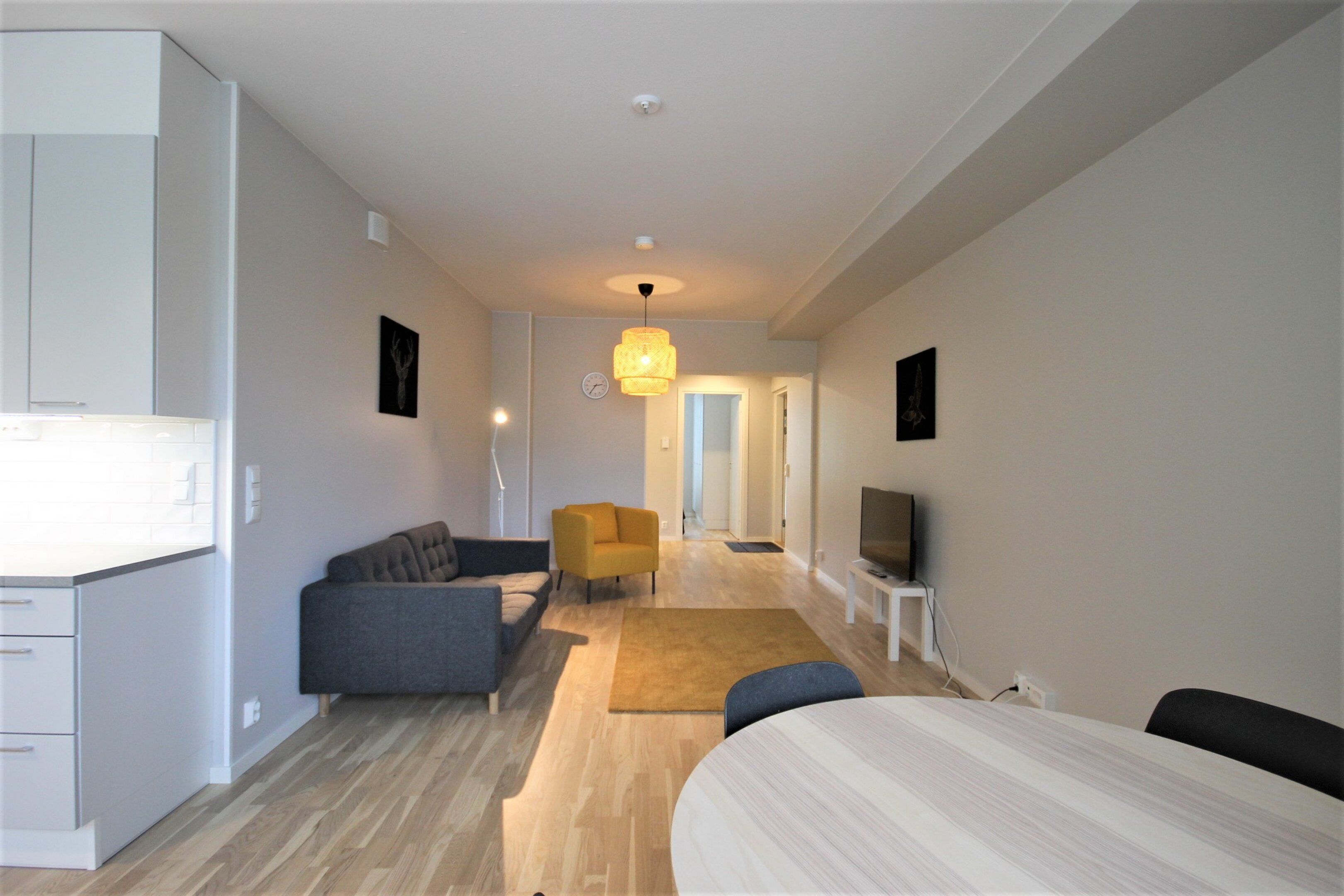 A modern living room with a sofa, armchair, and a TV on a stand.