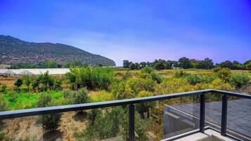 Caixa forta a l'habitació, habitacions insonoritzades i wifi gratuïta