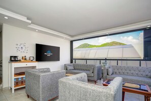 TV