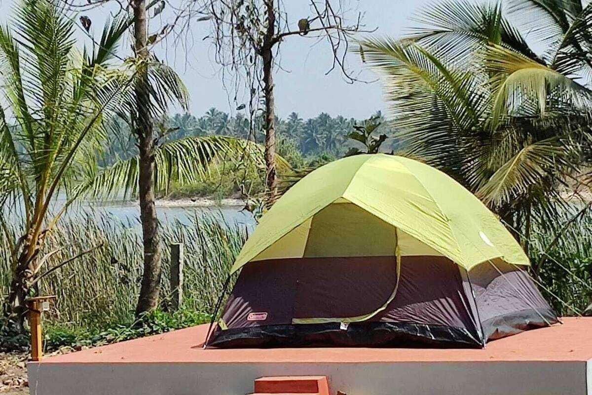 A green tent set up on a concrete platform with a view of palm trees and a body of water in the background.