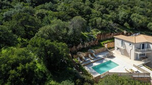 An aerial view of a villa with a swimming pool, surrounded by dense greenery and a stone wall.