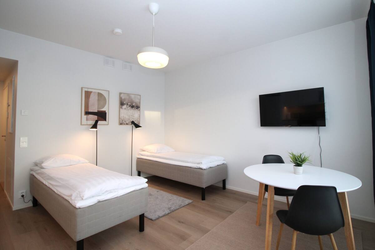 Ein kleiner, moderner Raum mit zwei Einzelbetten, einem Schreibtisch mit Stuhl, einem an der Wand befestigten Fernseher und einer kleinen Pflanze auf dem Schreibtisch.