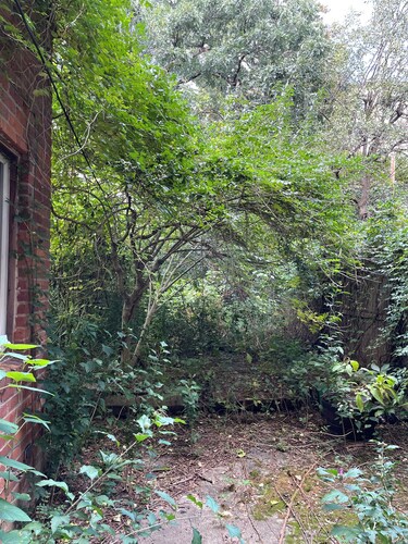 triplex townhouse apartment, brownstone Brooklyn