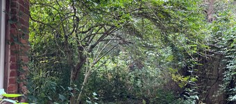 triplex townhouse apartment, brownstone Brooklyn