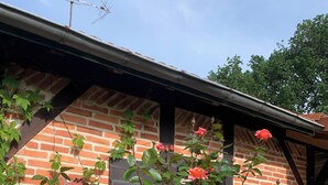 A brick building with a rose bush in front. - Maison Clôturée, Plages, Lacs, Océan et Jacuzzi. Animaux de Compagnie Acceptés (Escource)