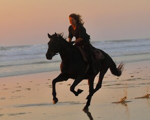 A person riding a horse on a beach during sunset.