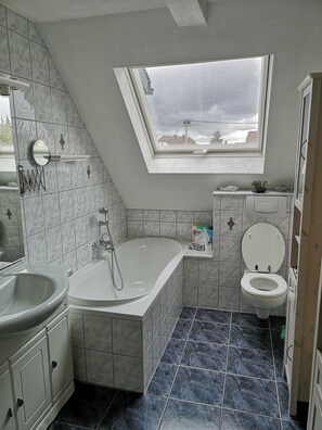 Assecador de cabells, tovalloles, sabó i xampú