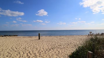 在海灘附近、躺椅