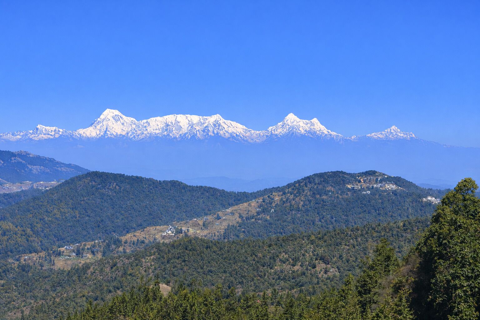 الإطلالة من المنشأة