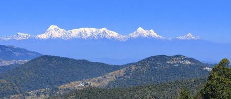 الإطلالة من المنشأة