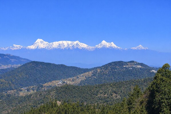 Un paisaje montañoso con picos nevados y densas laderas boscosas.