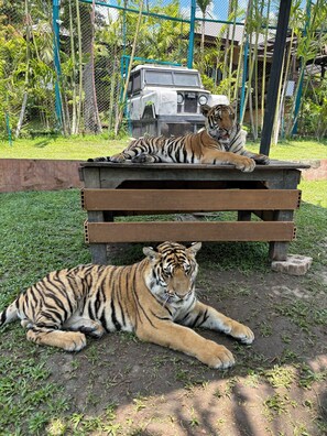 Overnattingsstedets uteområder