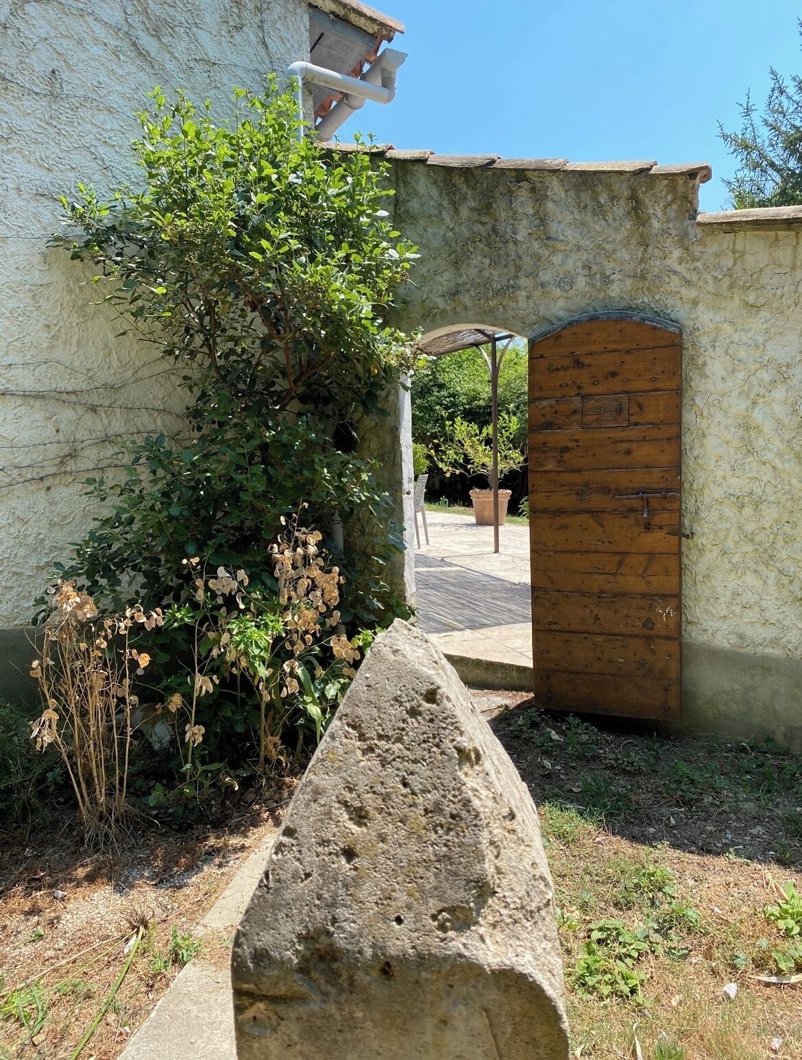 A stone pathway leading to a wooden door, surrounded by greenery and a rustic building.