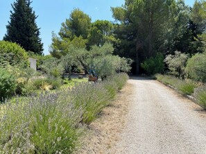 Property grounds - Villa Provence Avec Piscine (Fontvieille)