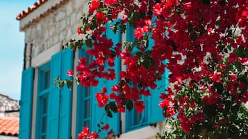 Mặt tiền nơi lưu trú