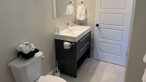 A bathroom with a toilet, sink, mirror, and a door. - Gros Morne Coastal Suites #2 (Rocky Harbour)