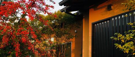 A modern house with a black gate, surrounded by lush greenery and red flowers.