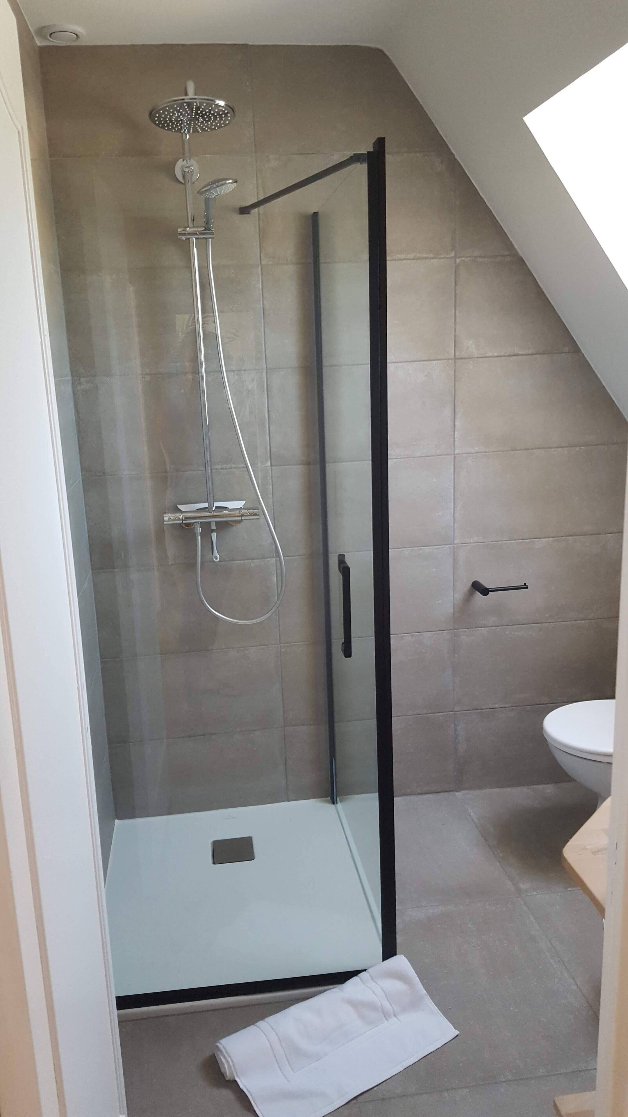 Una dutxa moderna amb porta de vidre, un vàter de mà i un mànec negre.