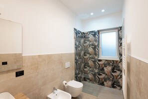 Shower, hair dryer, bidet, towels