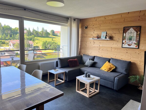 Smart TV, DVD player, books, video library