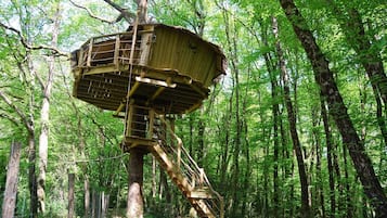 Een houten uitkijktoren in een bos.