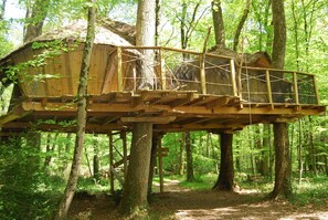 Tree House