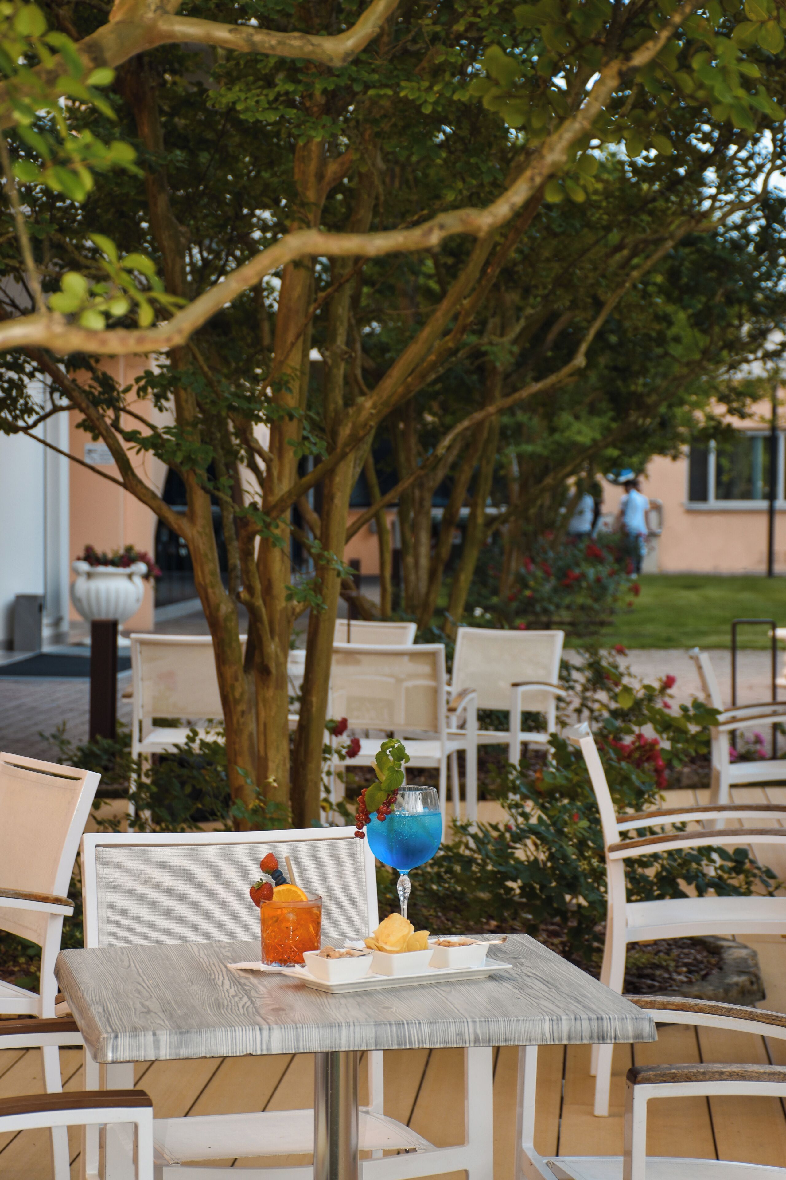 Bar (a l'allotjament)