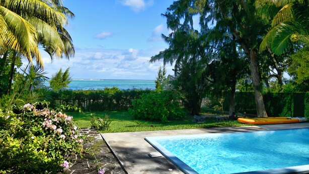 A swimming pool with a view of the ocean, surrounded by lush greenery and palm trees.