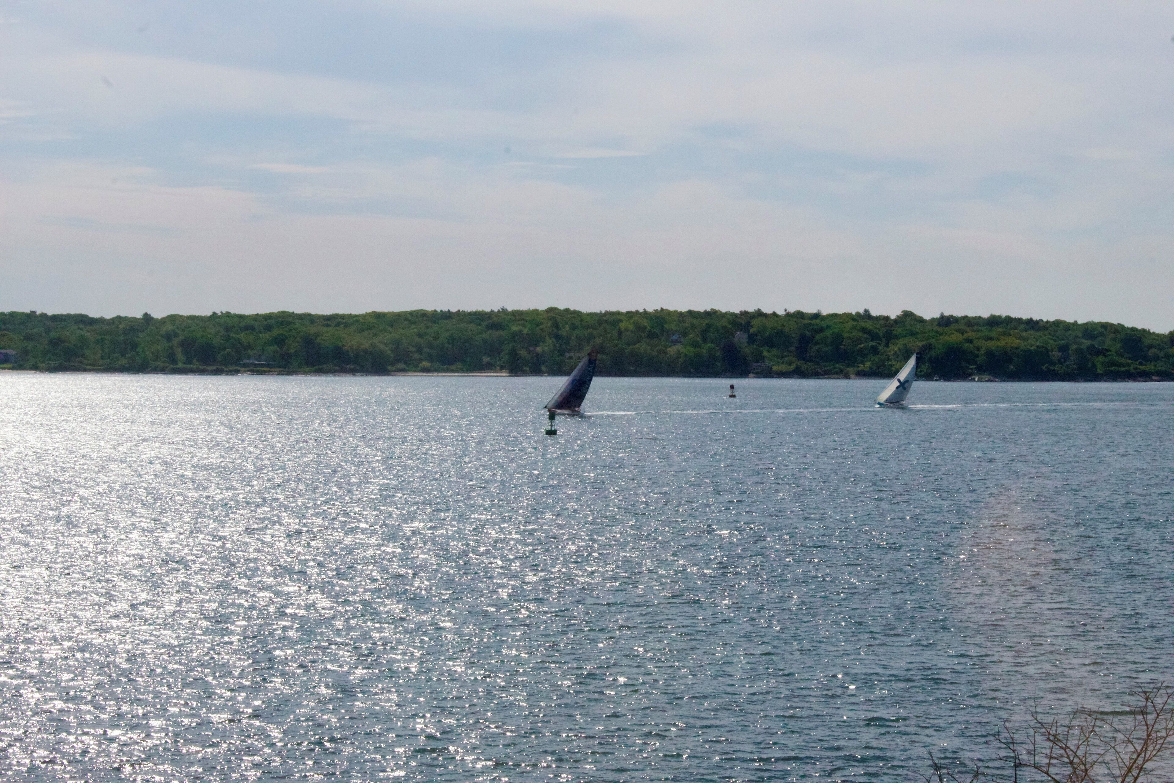 A lake with sailboats.