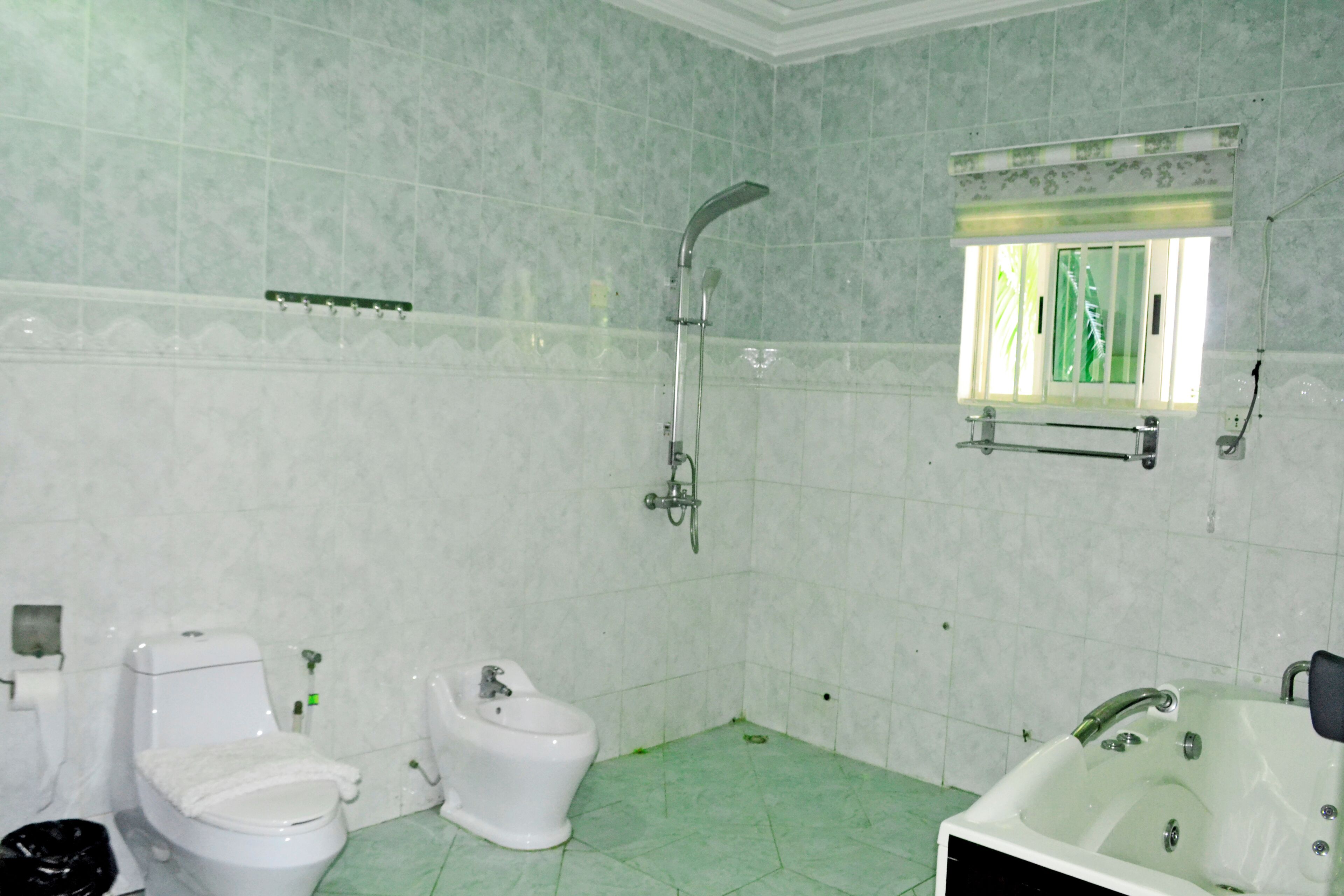 A bathroom with a toilet, bidet, shower, and bathtub.