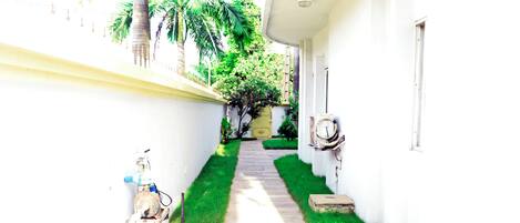 Un sendero estrecho que lleva a un edificio blanco con una puerta y una ventana, rodeado de follaje y un pequeño jardín.