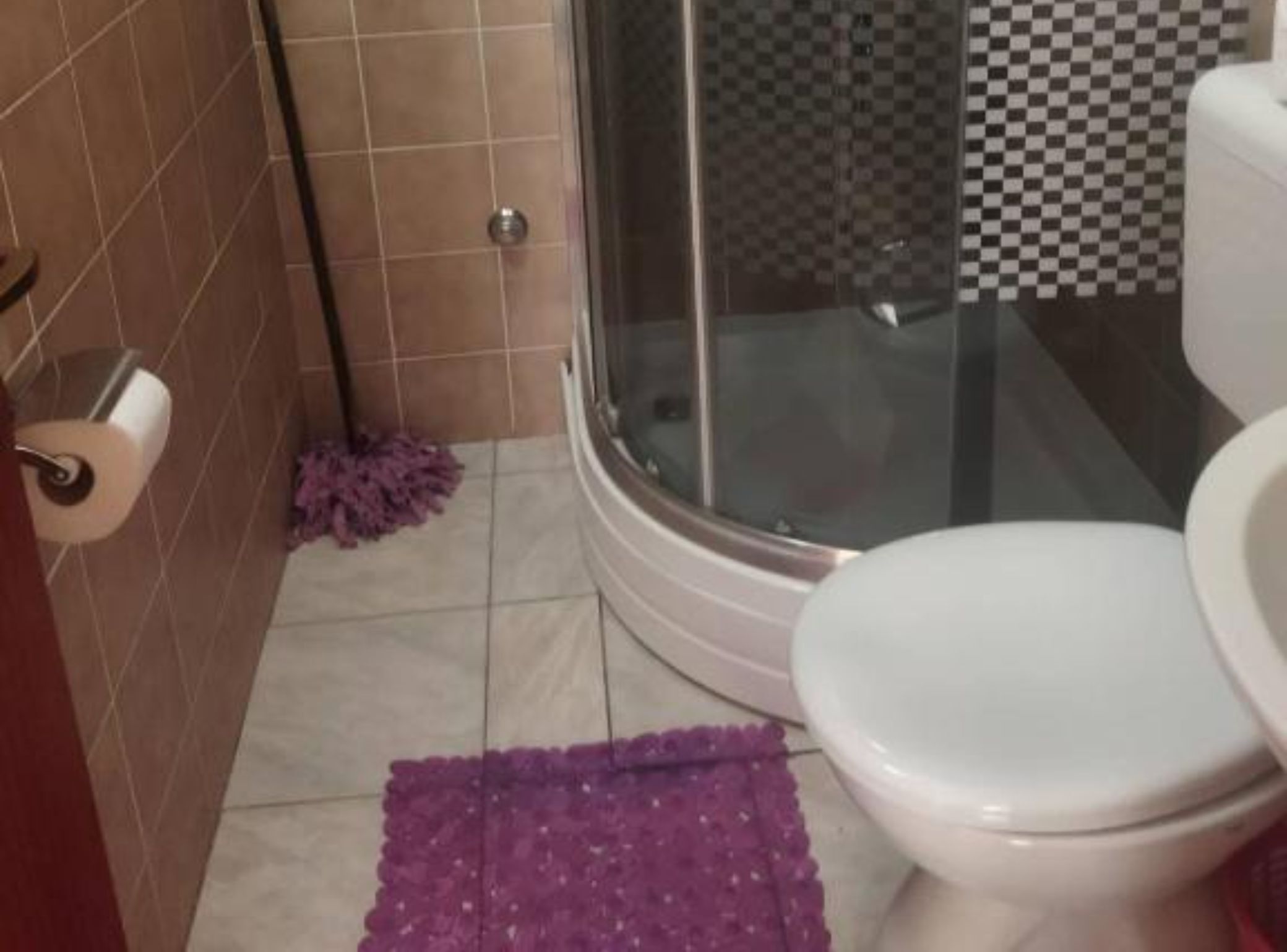 Casa de banho com chuveiro, sanita e esfregão no chão.