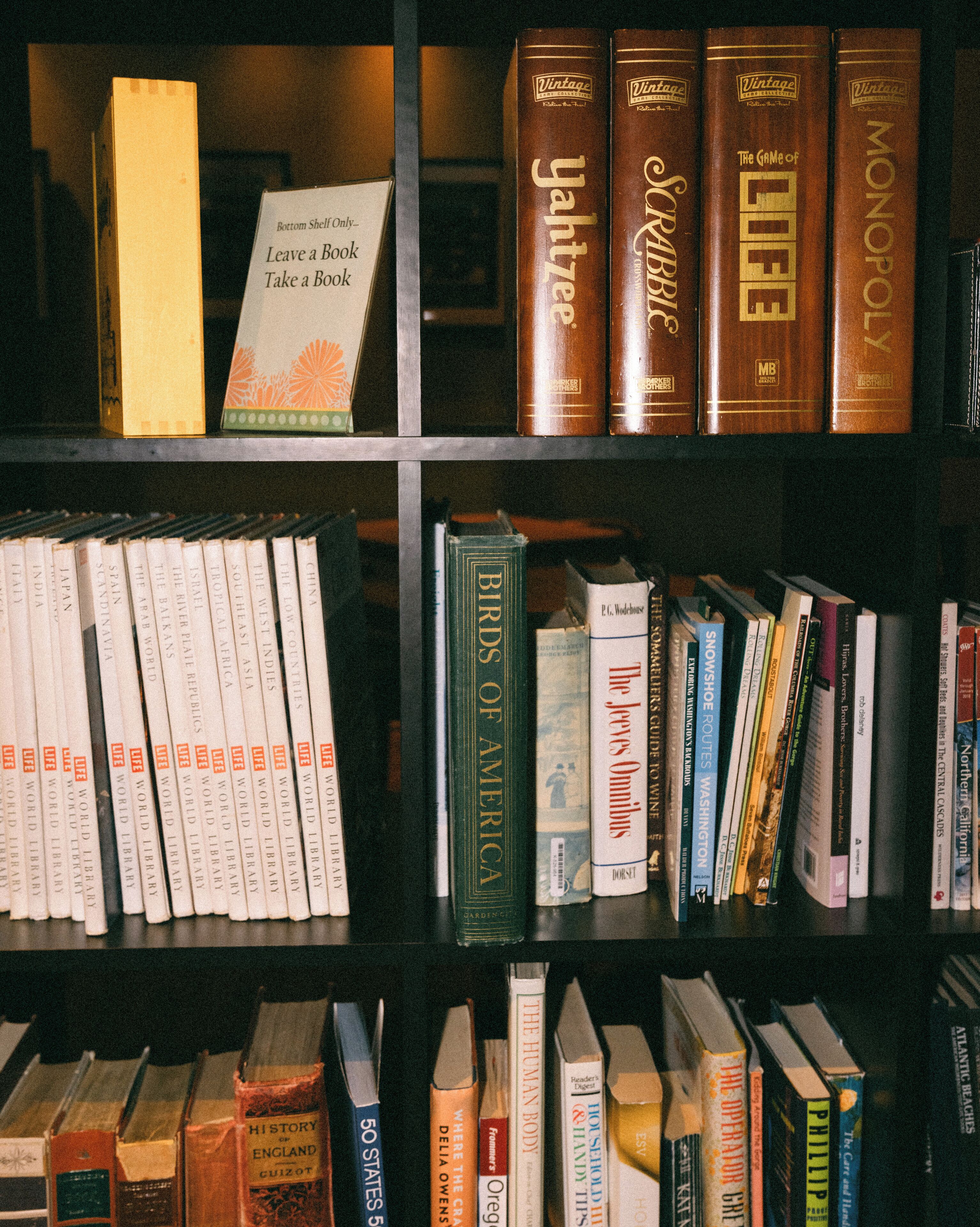 A bookshelf with various books, including titles like 'The Game of Life' and 'Birds of America'.