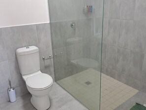 Asciugacapelli, asciugamani, sapone, shampoo